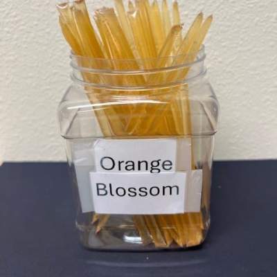Clear jar filled with orange blossom stems or picks