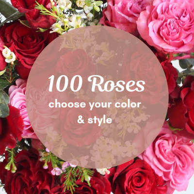 Bouquet of red and pink roses with small white filler flowers