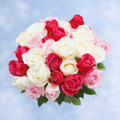 Bouquet of pink, red, and white roses