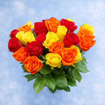 Bouquet of red, orange, and yellow roses