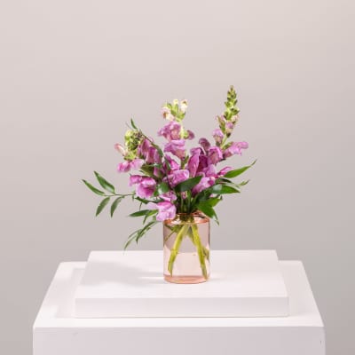 Pink snapdragon bouquet in a clear glass vase