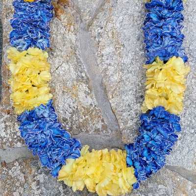 Blue and yellow flower lei draped over a stone surface