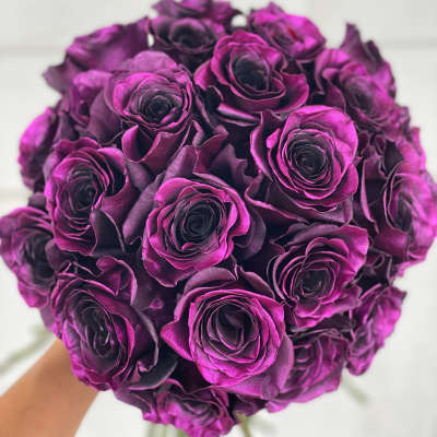 Round bouquet of deep purple roses held in hand