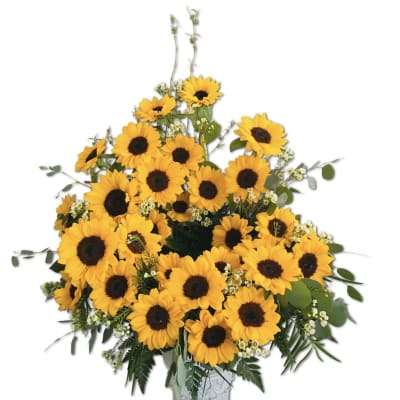 Tall bouquet of bright yellow sunflowers with small white filler flowers in a white vase