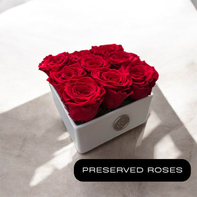 Red roses arranged in a white square box