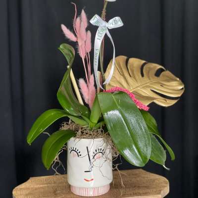 Orchid Heart Eyes Pot