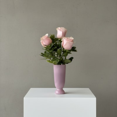 Three pale pink roses in a pink vase