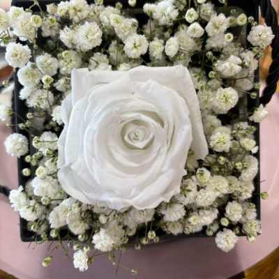 Eternal Ecuadorian Rose in Placentia, CA – Preserved Rose Gift