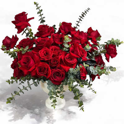 Red roses arranged in a white vase with trailing greenery
