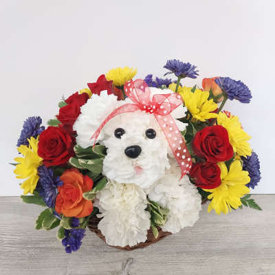 Basket arrangement with a white carnation dog surrounded by colorful flowers.