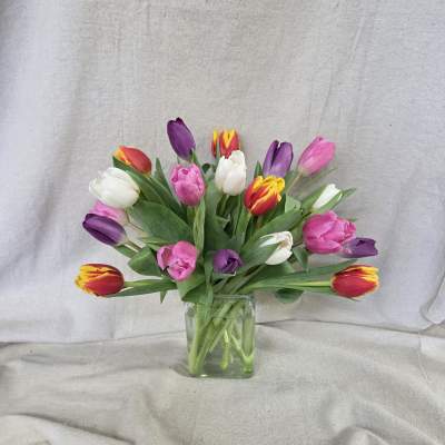 Bouquet of multicolored tulips arranged in a clear glass cube vase
