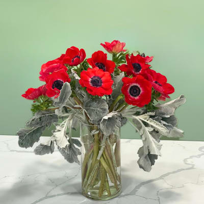 Red anemones in a clear glass vase with silvery foliage