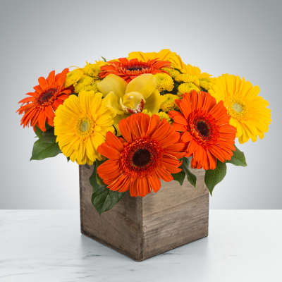 Low arrangement of orange and yellow gerbera daisies with yellow blooms in a rustic wooden cube vase.
