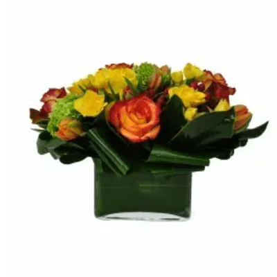 Orange and yellow rose bouquet in a square glass vase