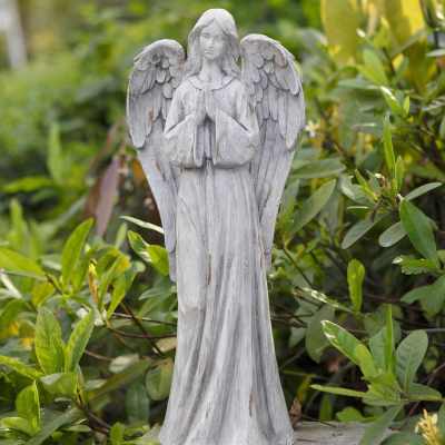 Weathered gray angel statue with folded hands standing among garden plants.