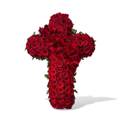 Cross-shaped arrangement of red roses on a white background