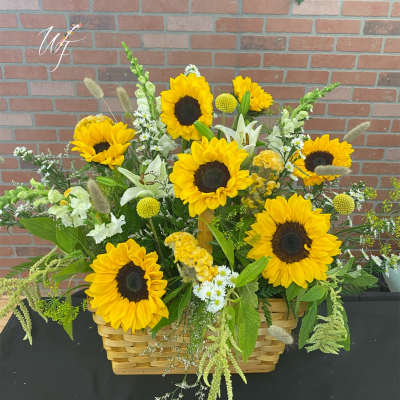 Basket arrangement with sunflowers and mixed white and green flowers