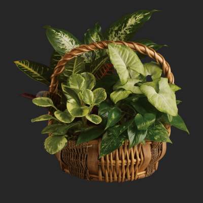 Emerald Garden Basket