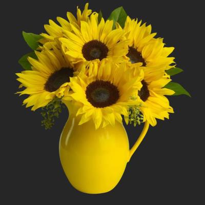 Sunny Day Pitcher of Sunflowers