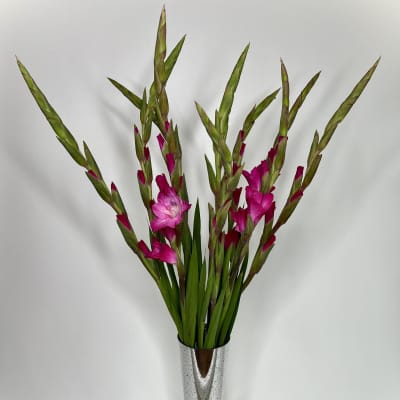 Tall pink gladiolus arrangement in a silver vase