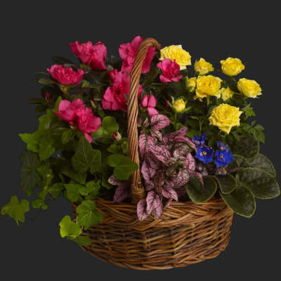 Blooming Garden Basket