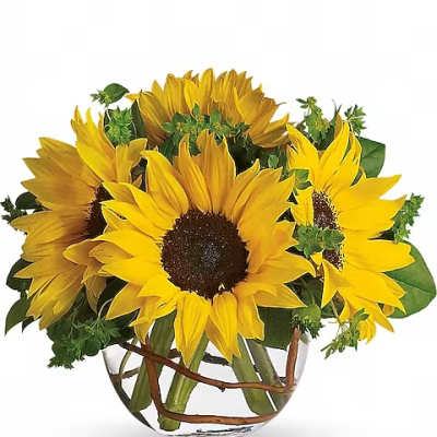 Bouquet of yellow sunflowers in a clear glass vase