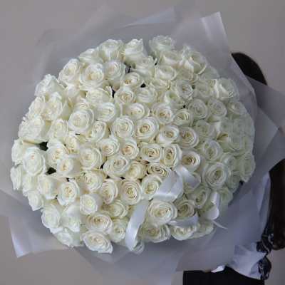 Large bouquet of white roses wrapped in translucent paper with white ribbon