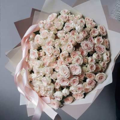 Large bouquet of pale pink roses wrapped in white paper with a pink ribbon