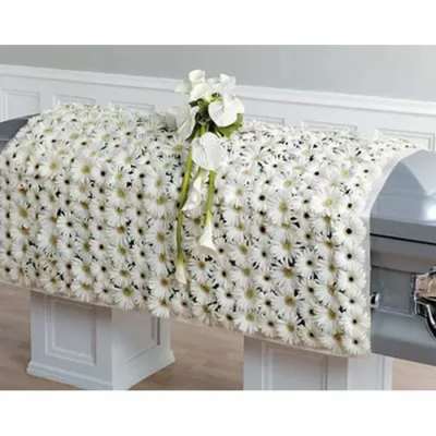 White daisy casket blanket with a cluster of white calla lilies draped over a silver casket