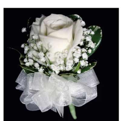 White rose corsage with baby's breath and sheer white ribbon bow on a black background.