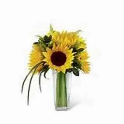 Tall bouquet of yellow sunflowers in a clear glass vase with a few decorative grass blades