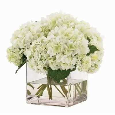 Compact arrangement of white hydrangeas in a clear glass cube vase with visible stems in water