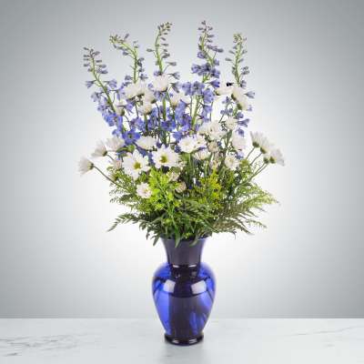 Tall arrangement of white daisies and blue delphinium in a cobalt blue glass vase