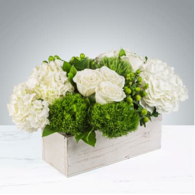 The Hamptons by BloomNation™