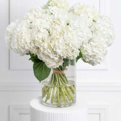 White hydrangea bouquet in a clear glass vase