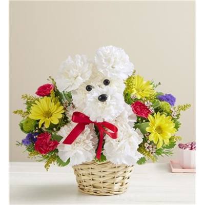 White flower dog arrangement in a wicker basket with a red bow