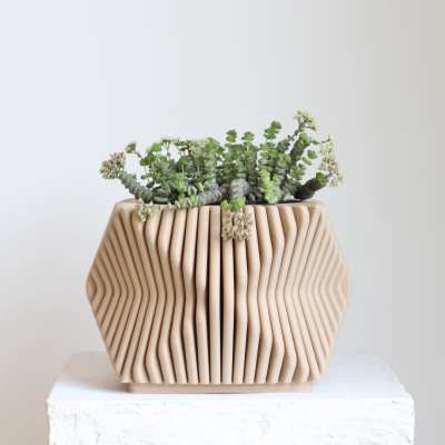 Succulent arrangement in a ribbed beige planter