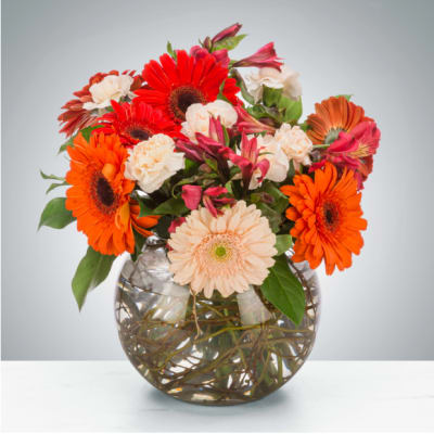 Cider Donuts by BloomNation™