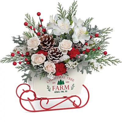 Christmas floral arrangement in a white sleigh container with red runners