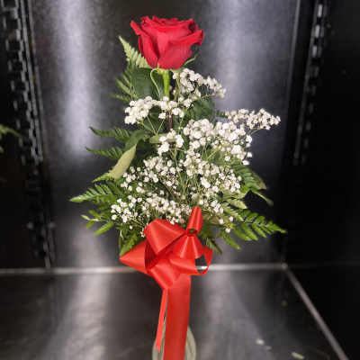 Single red rose with baby's breath in a glass vase and red ribbon