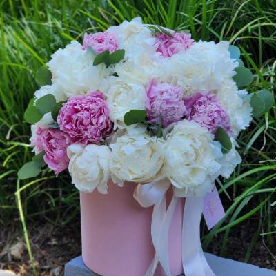 Pink and white peonies in a pink hatbox with ribbon