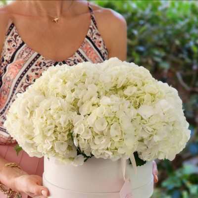 White hydrangea arrangement in a round white box