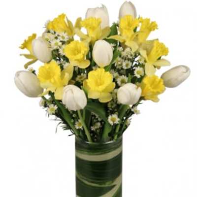 Yellow daffodils and white tulips in a tall green glass vase