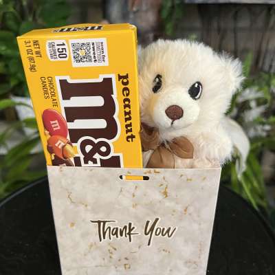 Gift bag with a teddy bear and a box of peanut M&M's