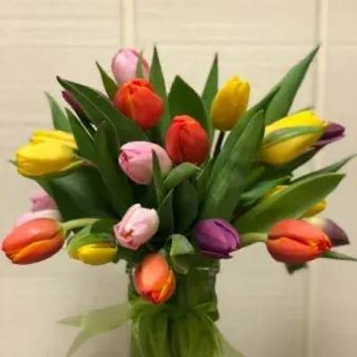 Rainbow tulips