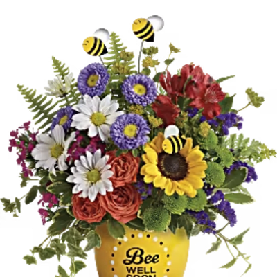 TELEFLORAS GARDEN OF WELLNESS