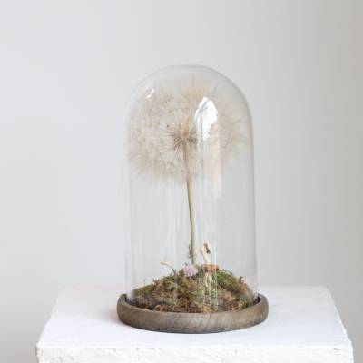 Dried flower under a glass dome on a wooden base