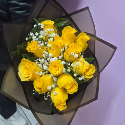 "Destello de Amistad"