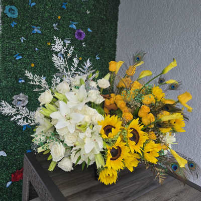 Double Color Arragement