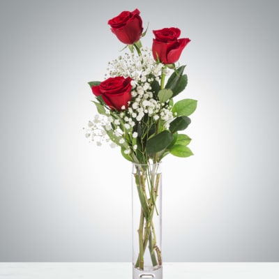 XO by BloomNation™